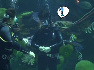 Ocean Colour Scene - รัก 7 ปี ดี 7 หน Seven Something