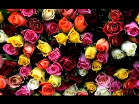 Sherlyn Wants Hot Gifts