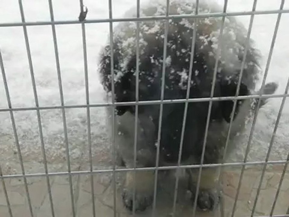 H'Ley - Vidéo n°18 - 7 décembre 2012 - Je pose sous la neige