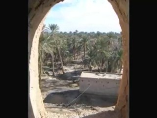 برج الشيخ الشكري البوزياني طولقة بسكرة الجزائر