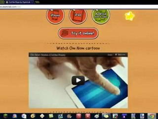Online Oyunlar 2011