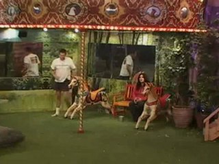 UBB Live Feed NIGHT 1 P7