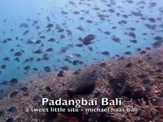 blue lagoon padangbai bali