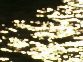 Bloody Tales of the Tower Scandal