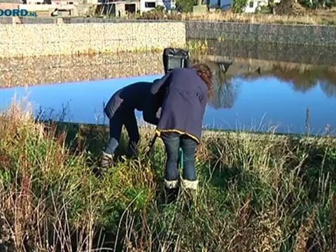 Fotografen leggen Groninger stadsrand en zn bewoners vast - RTV Noord