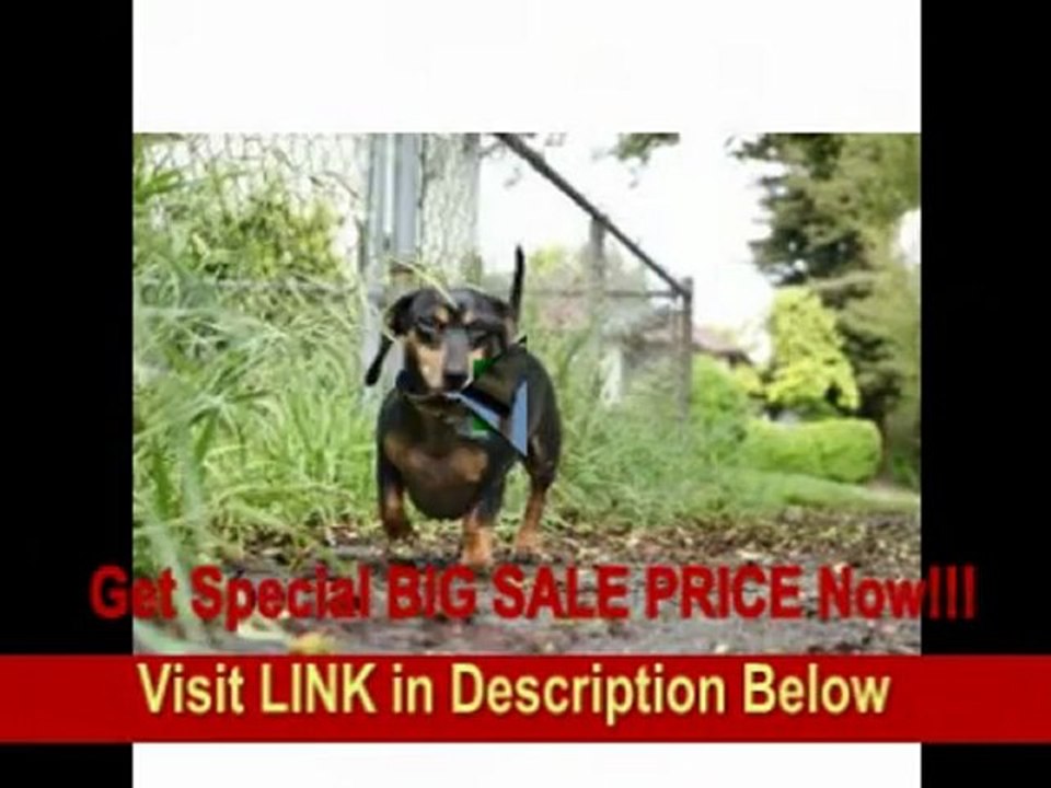 [REVIEW] Sony Alpha DSLR-A380 Digital SLR with 18-55mm & 75-300mm Lenses and Carrying Case wtih Turtorial DVD