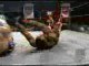 3-9-98 Chavo Guerrero with Eddie Guerrero vs Booker T