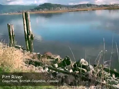DeBoville Slough Wetlands, Coquitlam, British Columbia, Canada