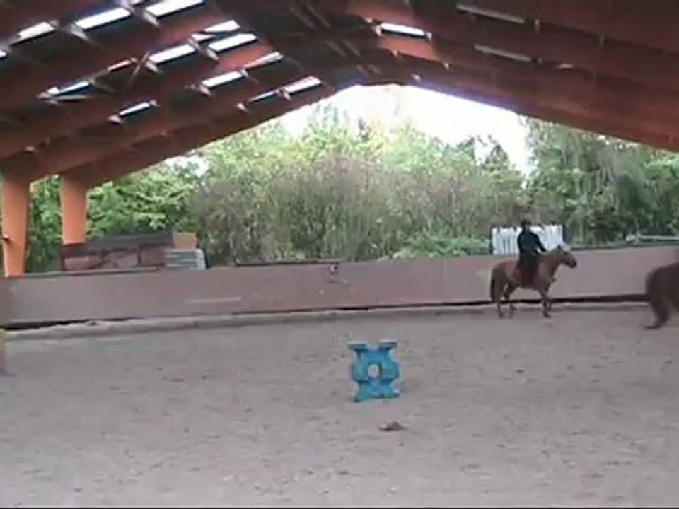 Equitation, Request et Ondine