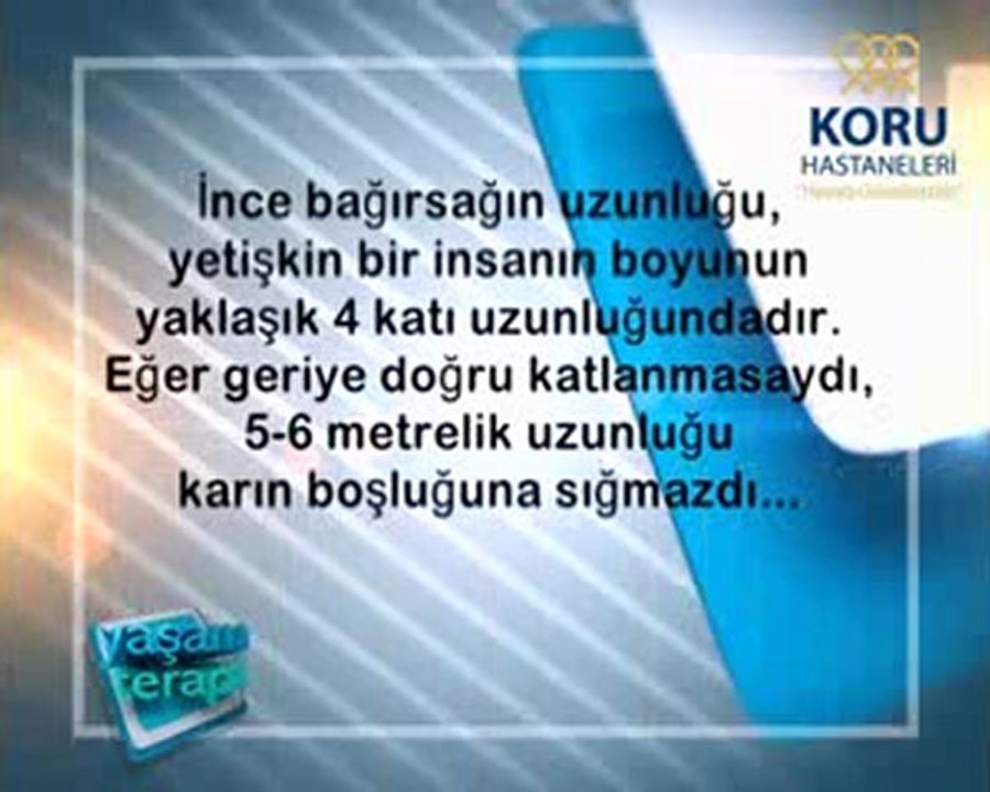 Prostat nedir  Prostat kanseri belirtileri ve tedavi yöntemleri (koruhastanesi.com)