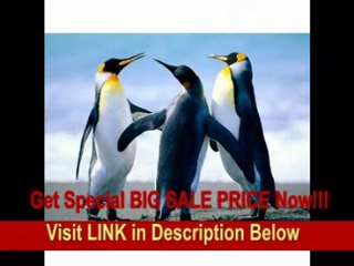 [REVIEW] Rane TTM56 DJ Mixer