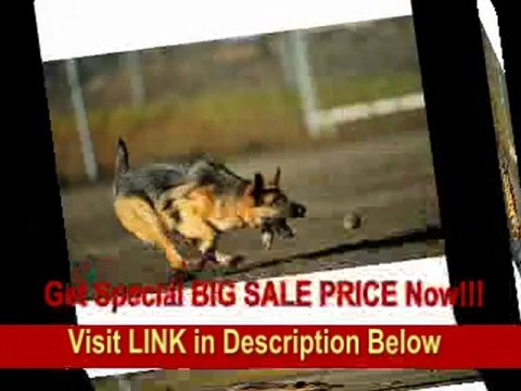 [SPECIAL DISCOUNT] Nikon 200-400mm f/4G ED-IF AF-S VR Zoom Nikkor Lens for Nikon Digital SLR Cameras