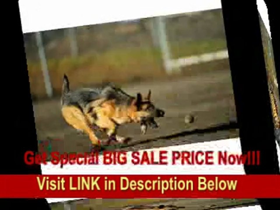 [SPECIAL DISCOUNT] Nikon 200-400mm f/4G ED-IF AF-S VR Zoom Nikkor Lens for Nikon Digital SLR Cameras