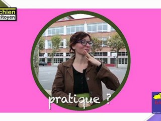 Comment dire "chien" en langue des signes française ?
