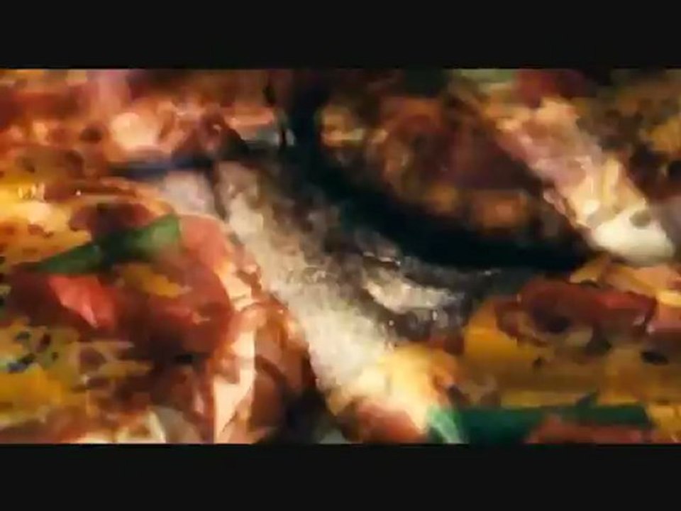 Damien Saez   J'accuse (clip)