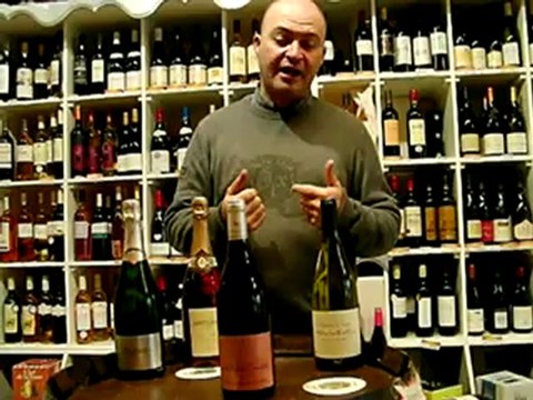 Couleur d'azur - Domaine Aegerter - Bourgogne rouge 2010 - Les enfants terribles