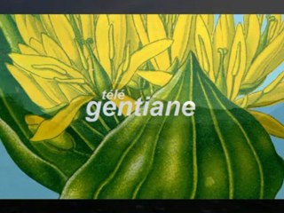 Aux sources de la Petite Rhue