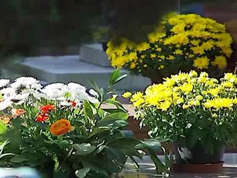 furti nei cimiteri tre arrestati