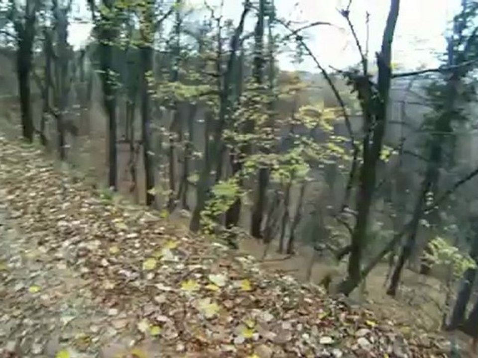 25.11.2012 Vrsac bajs prvi deo
