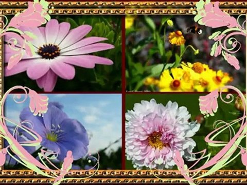 Урок Создание Стилей в ProShow.