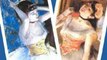 Fun Book Review: Twelve Degas Dancers Bookmarks (Dover Bookmarks) by Edgar Degas, Carol Belanger Grafton