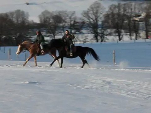 Zora: galop dans la neige en cordelette