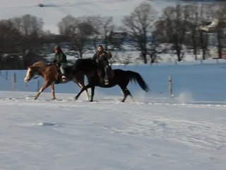 Zora: galop dans la neige en cordelette