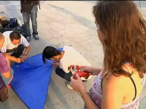 El medi ambient - El medi ambient: un nou mosaic amb quatre temes