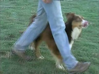 Entrainement Peps, 30 nov 2012.