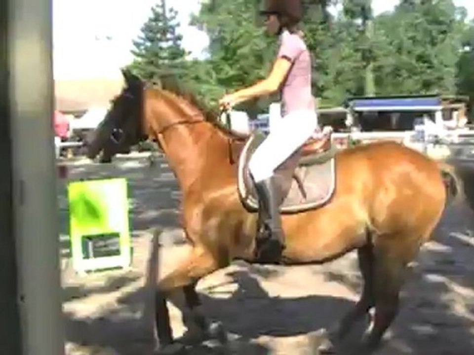 Quatar du loup Montélimar 2012  Prepa 1m