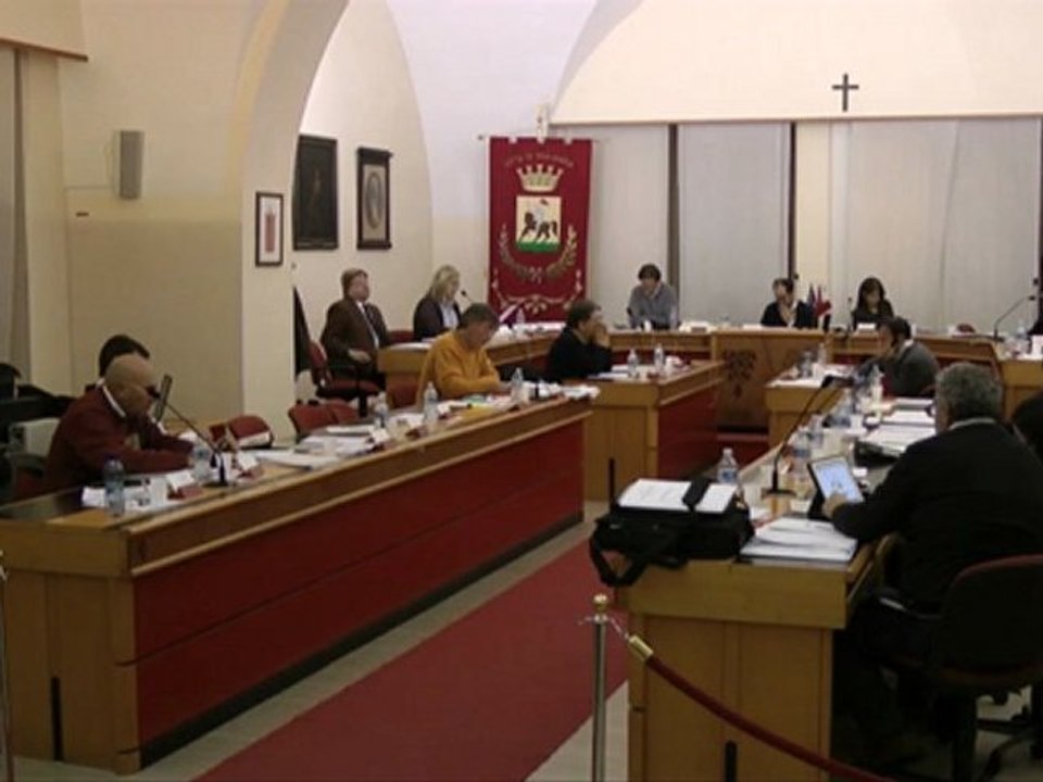 Consiglio 29 novembre 2012 Punti 1-2-3- riequilibrio di bilancio intervento N. Cameli