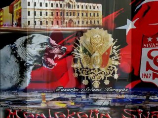 Feca Book Ibrahim Bala - Sivas'in Yollarina  Hanımaga Yıldız  www.sivaslilarbirligi.com