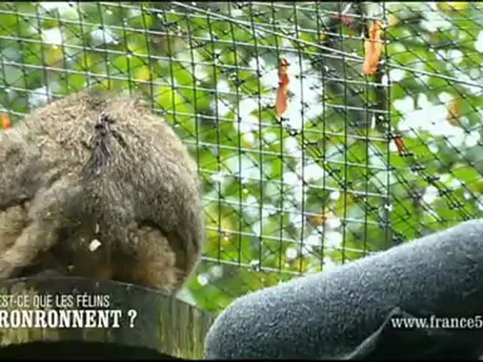 On n'est pas que des cobayes - 16 novembre 2012