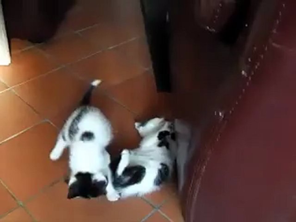 élie et jack