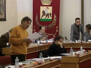 Consiglio 29 novembre 2012 Punto 5 indirizzo gestionale Cirsu illustrazione emendamenti Arboretti