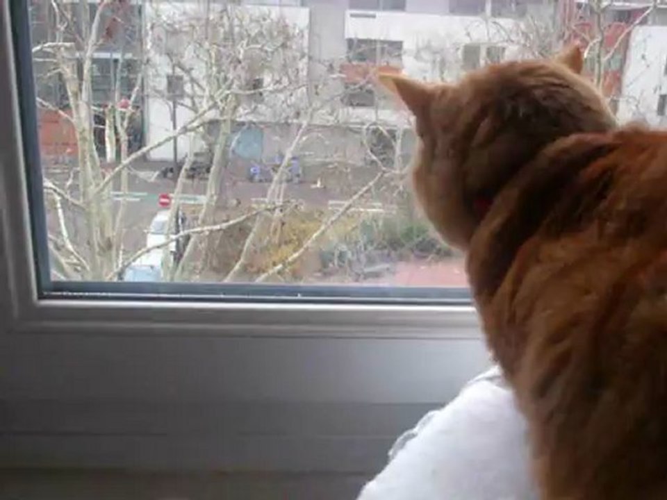 Monique - neige novembre 2012