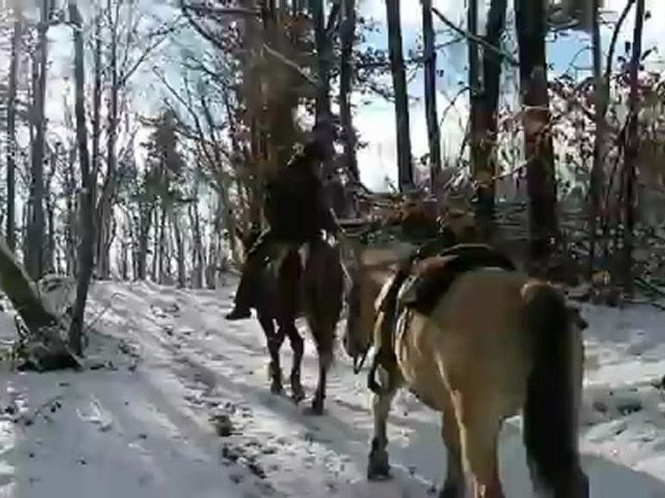 31novrandodinou