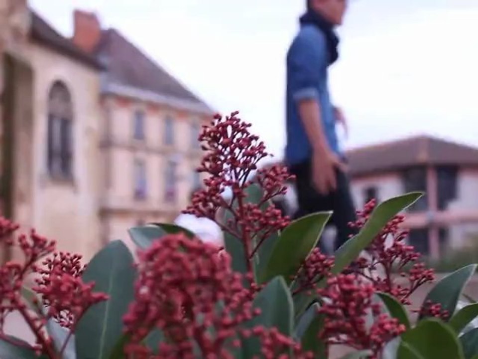 Parkour Moulins