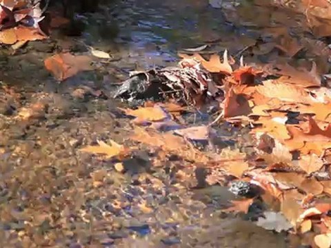 What is DOF: Depth of Field.