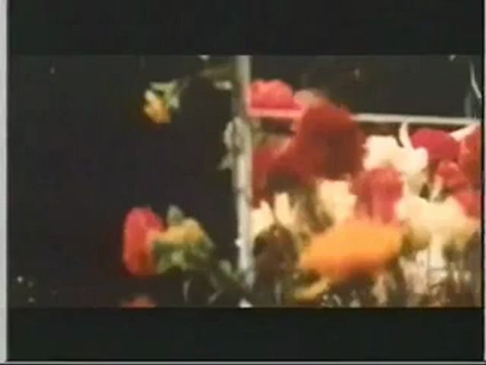 桜田淳子 花物語