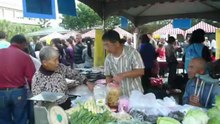 禮敬 麒龍觀世音菩薩 龍德院公益活動 蓮花香青菜義賣
