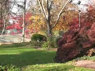 McCoy Testimonial: Tech Terra Environmental Organic Lawn Care