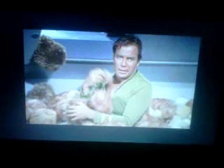 opening CSI NY Season 2 dvd