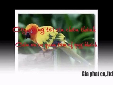 Cty sửa nhà,chống thấm tại quận 3 hcm call 0936 890 585