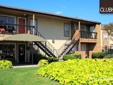 Adobe Springs Apartments in Houston, TX - ForRent.com