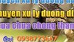 => cong ty chong tham tai tphcm 0973982818