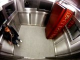 Cercueil dans un ascenseur (Caméra cachée)