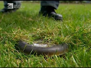 Gelecegin Silahlari Aninda Eylem