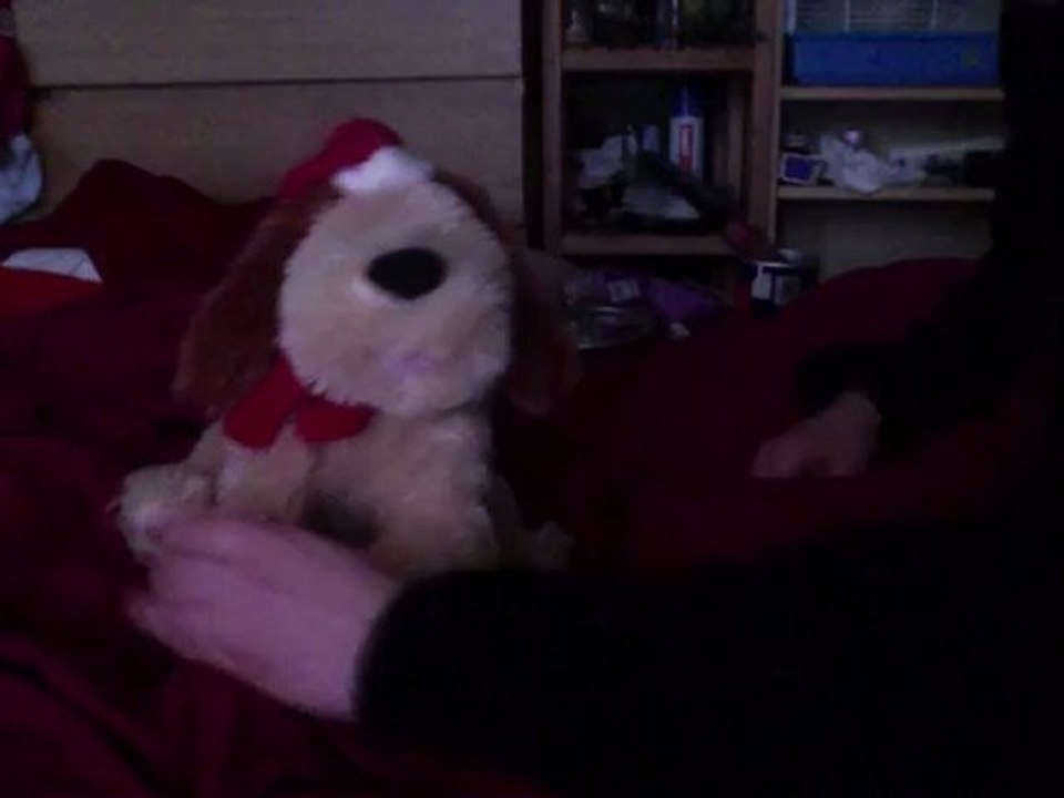 happy noel