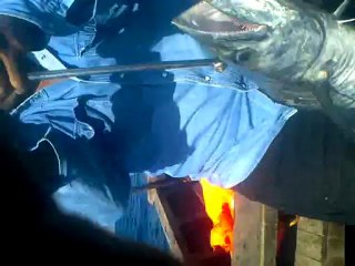 Video0023